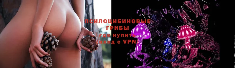 Псилоцибиновые грибы Psilocybine cubensis  Лянтор 